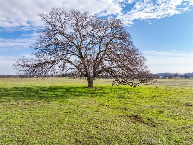 Detail Gallery Image 7 of 24 For 16620 Paskenta Rd, Flournoy,  CA 96029 - 2 Beds | 2 Baths