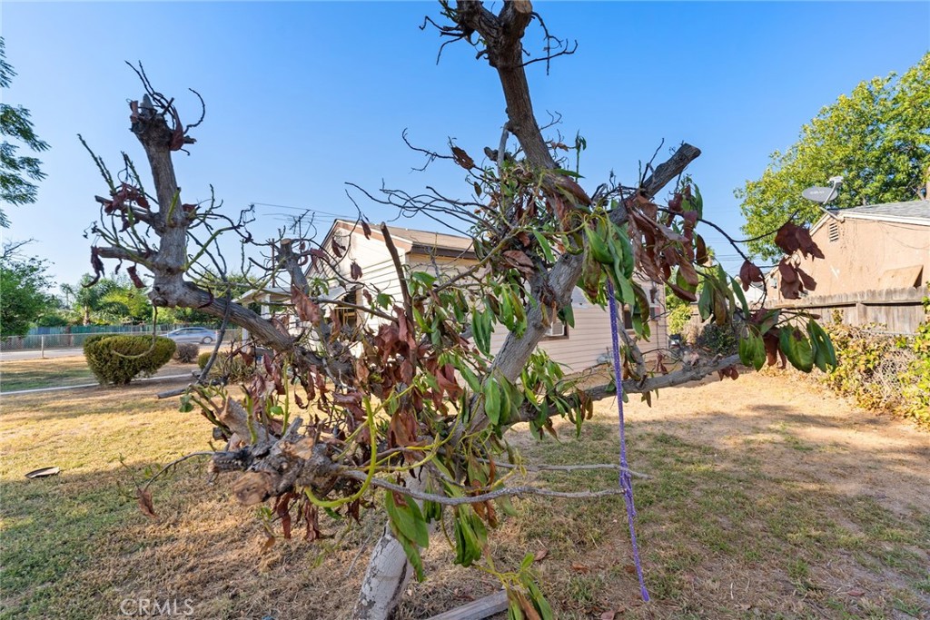 MLS #IV25232755 image #47