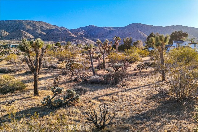 Detail Gallery Image 49 of 55 For 8173 Fleur Dr, Joshua Tree,  CA 92252 - 2 Beds | 3 Baths