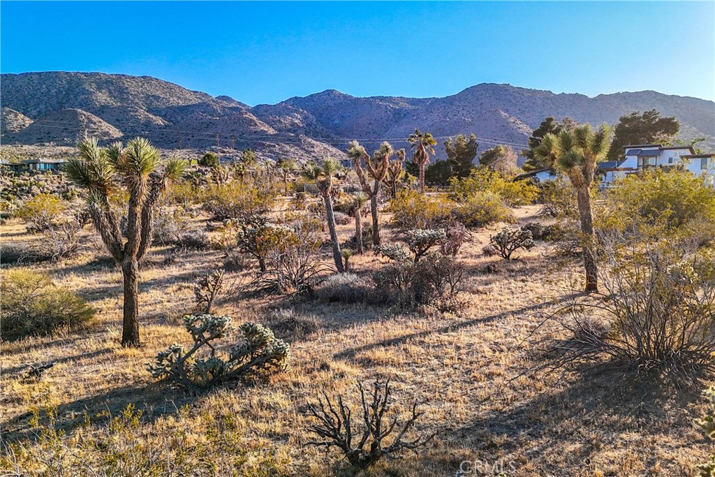 https://media.crmls.org/medias/3fcd34b7-257c-4aef-b9fb-36b75596fa27.jpg?preset=X-Large