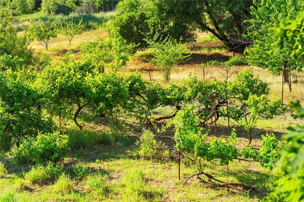 https://media.crmls.org/medias/3fd2a49f-e860-4e23-859e-fb4afff74aba.jpg?preset=X-Large