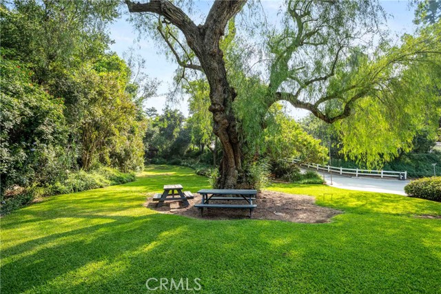 Expansive front yard
