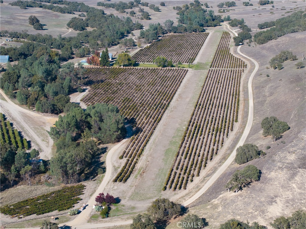 MLS #NS25262417 image #13