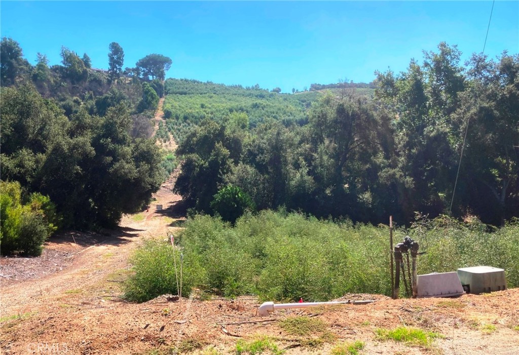 MLS #SW24226307 img 11