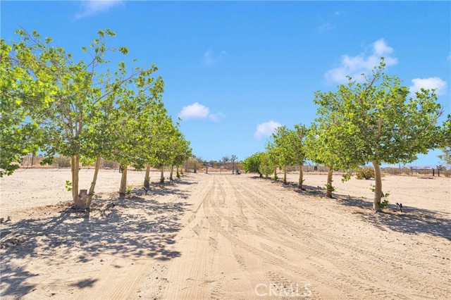 Detail Gallery Image 37 of 49 For 26042 E Avenue U8, Llano,  CA 93544 - 1 Beds | 1 Baths