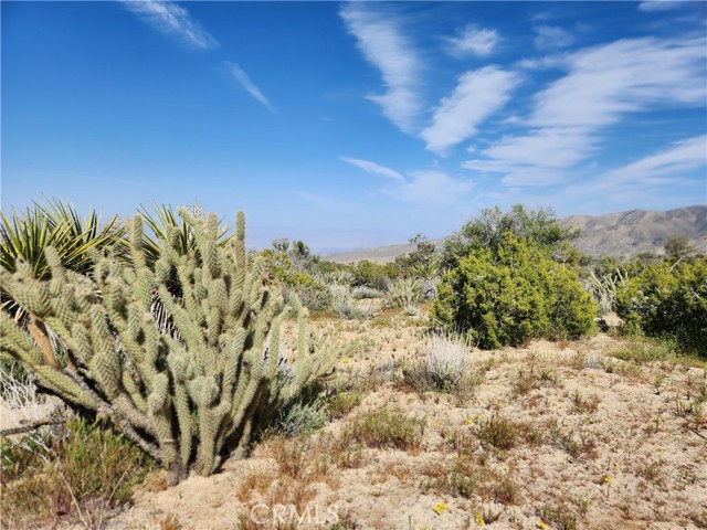 Detail Gallery Image 5 of 49 For 1 Sun Terrace, Mountain Center,  CA 92561 - – Beds | – Baths