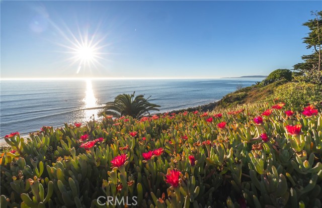 Detail Gallery Image 61 of 61 For 4130 Calle Isabella, San Clemente,  CA 92672 - 7 Beds | 7/4 Baths
