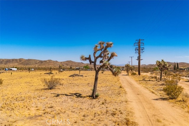 Detail Gallery Image 3 of 22 For 6 Gatos Trl, Yucca Valley,  CA 92284 - 0 Beds | 0 Baths