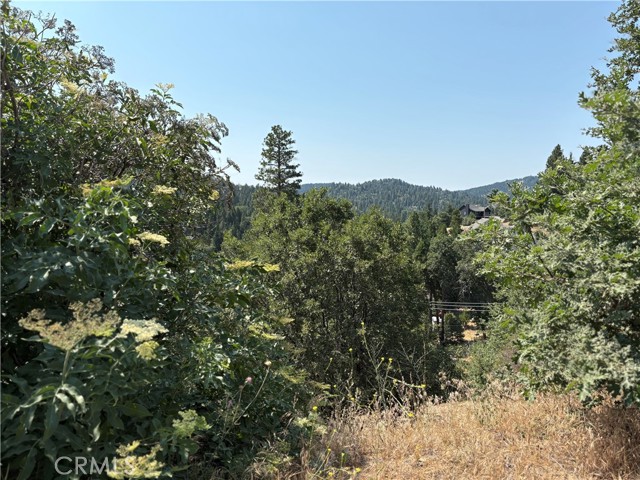Detail Gallery Image 8 of 8 For 26805 Inyo Ct, Lake Arrowhead,  CA 92352 - – Beds | – Baths