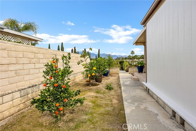 Detail Gallery Image 39 of 52 For 1612 Brentwood, Hemet,  CA 92545 - 3 Beds | 2 Baths