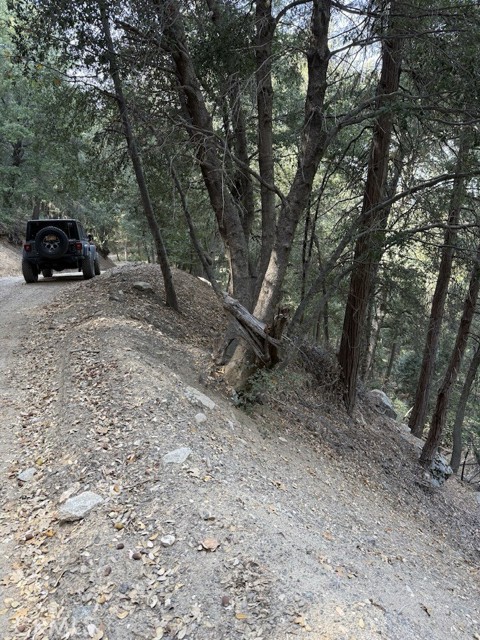 Detail Gallery Image 8 of 16 For 0 Mojave River Rd, Cedarpines Park,  CA 92322 - – Beds | – Baths