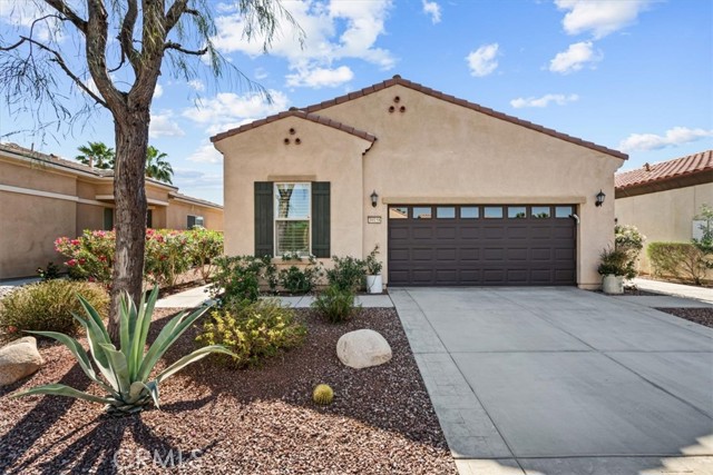 Front Image Thumbnail for CRIG26064020