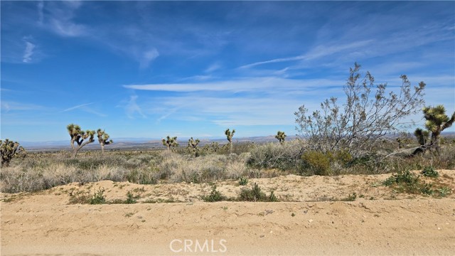 Detail Gallery Image 24 of 50 For 0 Fort Tejon Rd Vicinity 181st St E, Llano,  CA 93544 - – Beds | – Baths