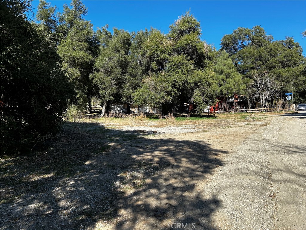 MLS #SR25041882 image #1