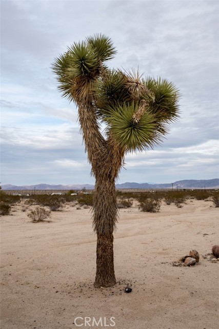 Detail Gallery Image 26 of 32 For 65154 Hoover Rd, Joshua Tree,  CA 92252 - 1 Beds | 1 Baths