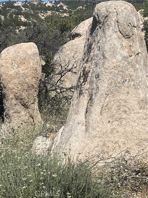 33 Sweetbush, Anza CA: https://media.crmls.org/medias/401c8363-d7e1-4569-8fe8-24e9b9196ef5.jpg