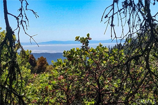 305 Alta Vista, Los Gatos, CA, 95033 305 Alta Vista, Los Gatos, CA, 95033