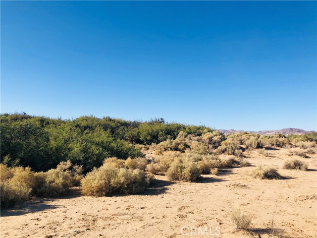 Detail Gallery Image 12 of 14 For 0 E of Mesquite Spr Rd, Twentynine Palms,  CA 92277 - – Beds | – Baths