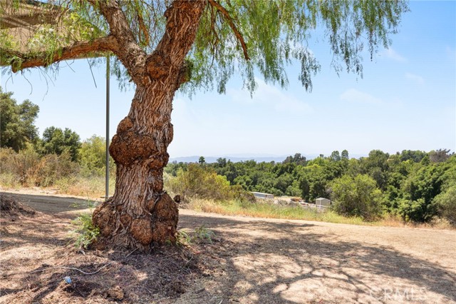 41605 De Portola Road, Temecula CA: https://media.crmls.org/medias/402491b3-29d2-46de-bdfb-30cf76d06cc8.jpg