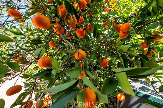 Detail Gallery Image 47 of 55 For 15070 Spring, Fontana,  CA 92335 - 5 Beds | 2 Baths