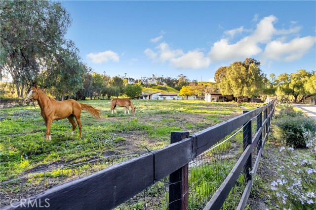 402be6a1 605d 4cee Bd3d 71b7fc8fd28c