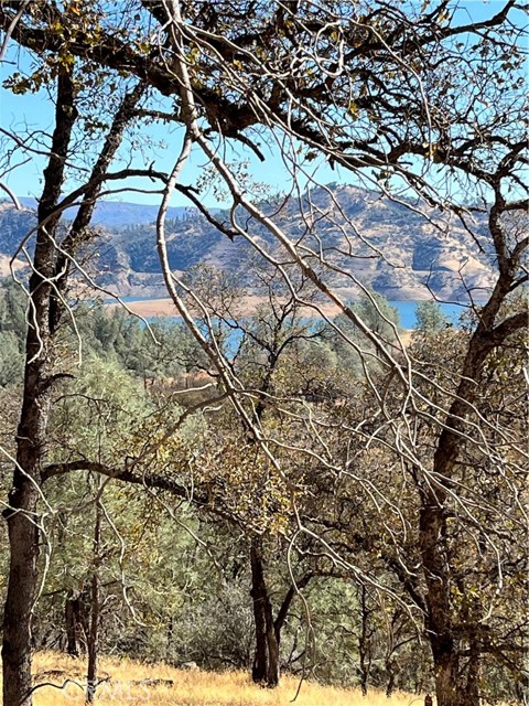 1484 Oregon Gulch Road, Oroville CA: https://media.crmls.org/medias/402c50a2-ef9f-4bd3-9d37-5453973ea62d.jpg