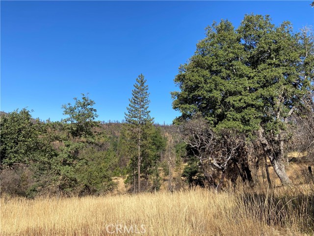 3154 Wild Dove Lane, Mariposa, California 95338, ,Land,For Sale,3154 Wild Dove Lane,CRMP23148188