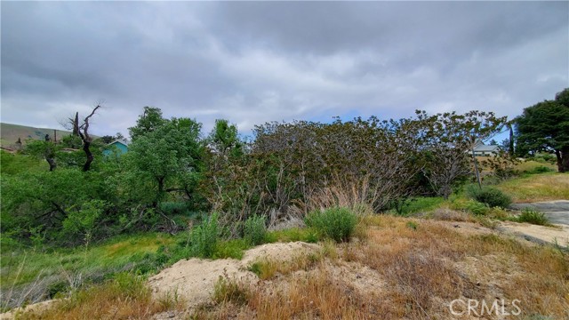 0 Rimford Drive Drive, Elizabeth Lake, California 93532, ,Land,For Sale,0 Rimford Drive Drive,CRSR23075504