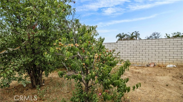 13067 Alexis Drive, Moreno Valley CA: https://media.crmls.org/medias/403671de-d162-4763-b9d0-0f27eef62d60.jpg