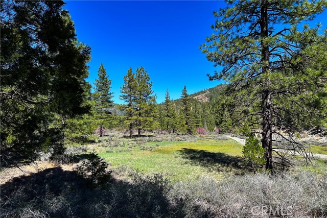 Detail Gallery Image 18 of 35 For 79402 State Highway 3, Trinity Center,  CA 96091 - – Beds | – Baths