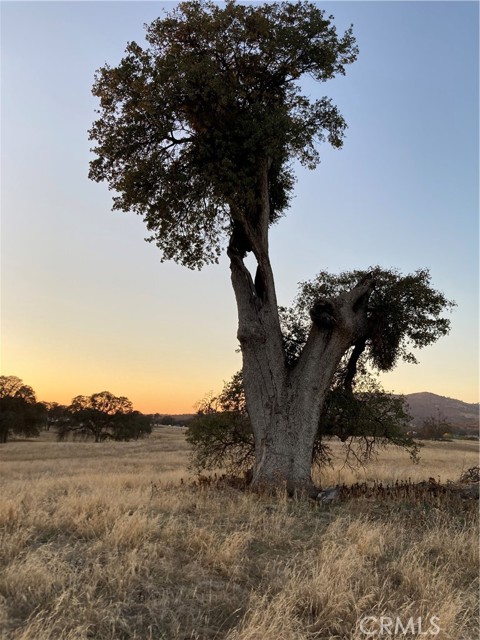 Detail Gallery Image 21 of 23 For 2187 Tinkers Penny, Catheys Valley,  CA 95306 - – Beds | – Baths