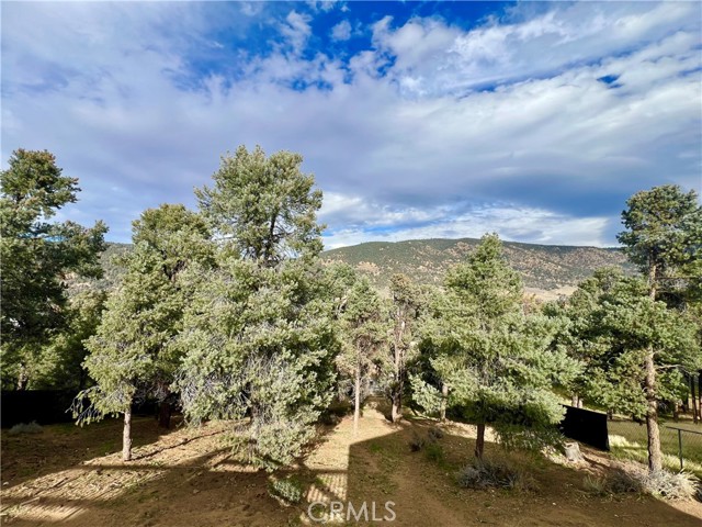 Detail Gallery Image 30 of 32 For 1118 Snowline, Frazier Park,  CA 93225 - 4 Beds | 2/1 Baths