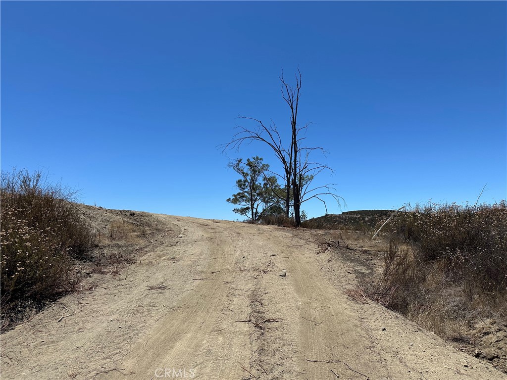 MLS #IG25145146 image #12