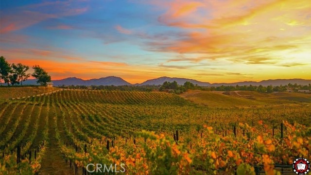 Detail Gallery Image 43 of 44 For 30354 Falcon Point Ct, Murrieta,  CA 92563 - 5 Beds | 3 Baths