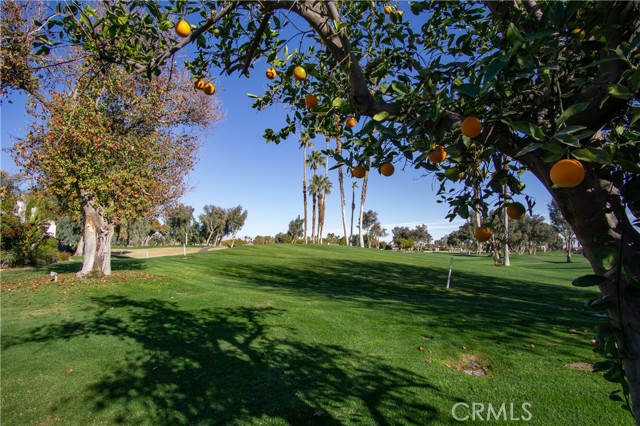 Image 41 for 35104   Mission Hills DR