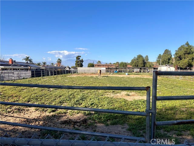 Front Image Thumbnail for CRIV26033541