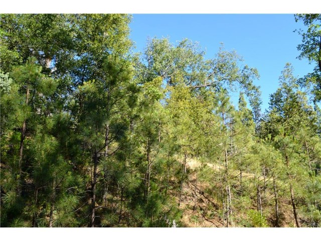 50 Dogwood Creek, Bass Lake, CA, 93604 50 Dogwood Creek, Bass Lake, CA, 93604