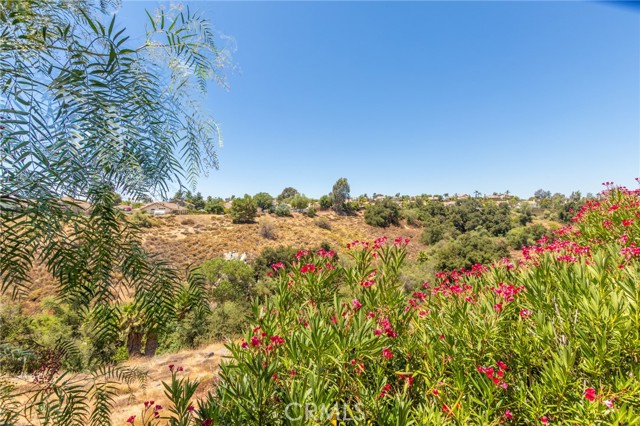 Detail Gallery Image 30 of 41 For 38079 via La Colina, Murrieta,  CA 92563 - 3 Beds | 2 Baths