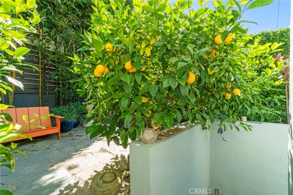 https://media.crmls.org/medias/404e7c49-80ed-4862-93d9-cef1ecdca97b.jpg?preset=X-Large