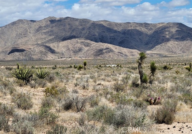 10 AC Laramie Street, Apple Valley CA: https://media.crmls.org/medias/404ee644-78b0-4298-8bcf-dbf7611f5a56.jpg
