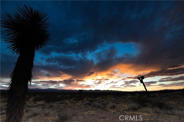 Detail Gallery Image 5 of 58 For 58459 Starlight Mesa Rd, Yucca Valley,  CA 92284 - – Beds | – Baths