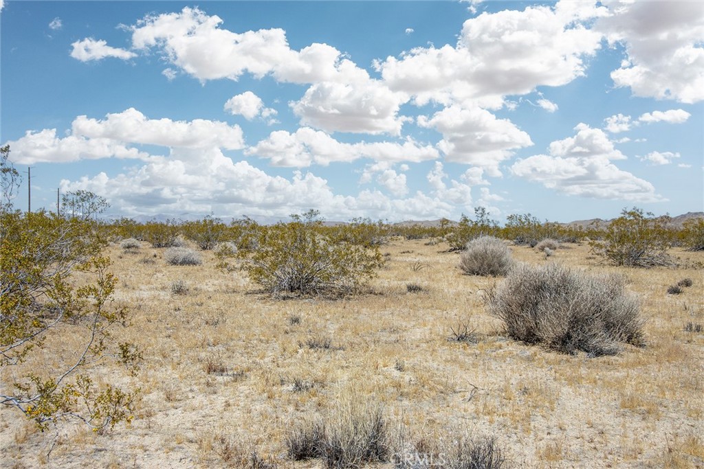 MLS #JT24094363 image #8
