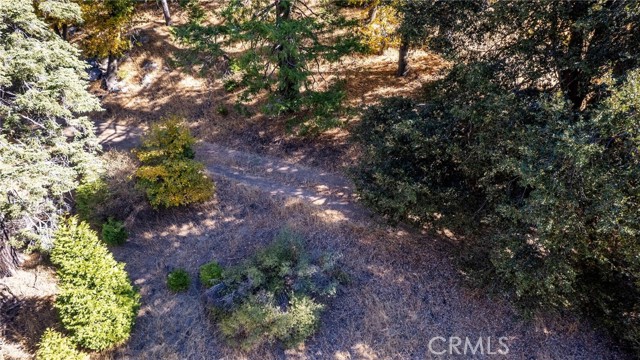 Detail Gallery Image 4 of 40 For 0 Mojave River Rd, Cedarpines Park,  CA 92322 - – Beds | – Baths