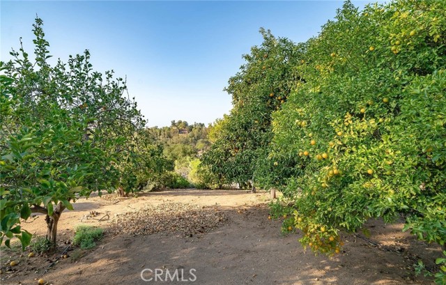 1581 Sycamore Drive, Fallbrook, California 92028, 4 Bedrooms Bedrooms, ,2 BathroomsBathrooms,Residential rental,For Sale,Sycamore Drive,TR24096970
