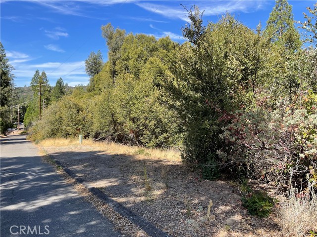 Detail Gallery Image 18 of 19 For 5693 Creel Rd, Mariposa,  CA 95338 - – Beds | – Baths