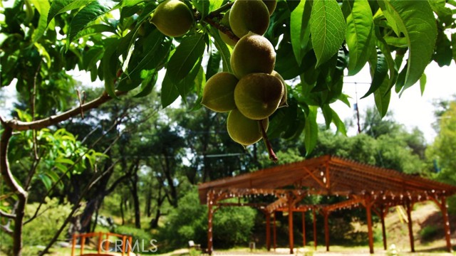 Detail Gallery Image 55 of 60 For 5049 Ca-78, Santa Ysabel,  CA 92070 - 3 Beds | 2/1 Baths