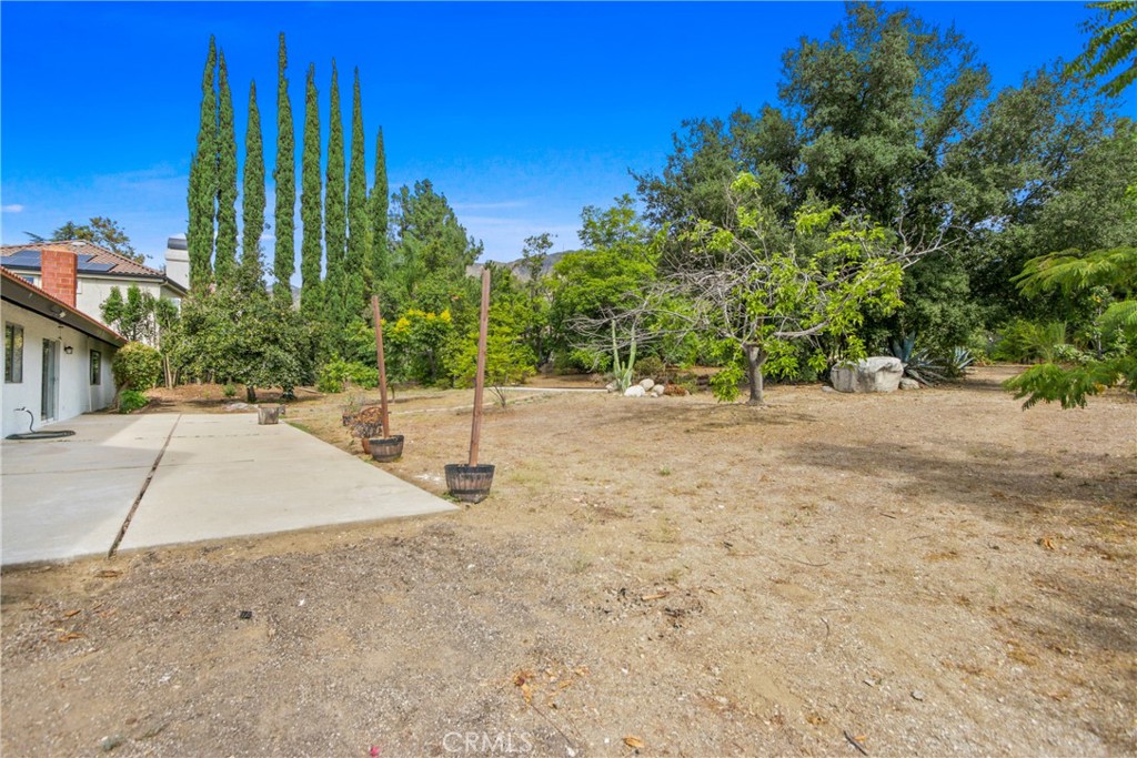 406D5033 7217 4229 917B 9Afe61D718F2 2464 Prospect Drive, Upland, Ca 91784 &Lt;Span Style='BackgroundColor:transparent;Padding:0Px;'&Gt; &Lt;Small&Gt; &Lt;I&Gt; &Lt;/I&Gt; &Lt;/Small&Gt;&Lt;/Span&Gt;