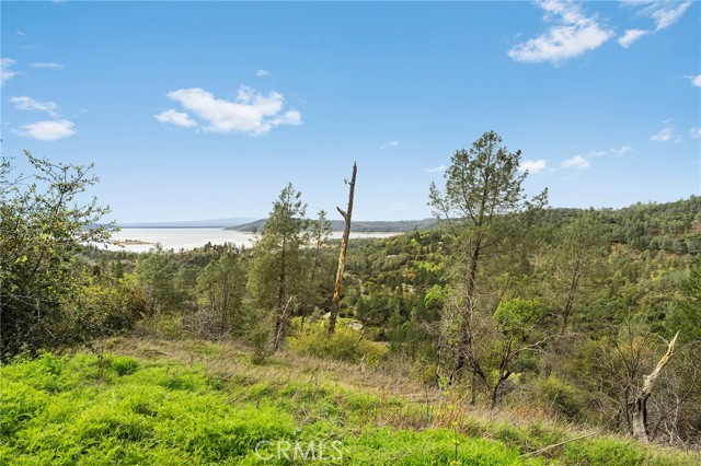 Detail Gallery Image 22 of 57 For 0 Canyon Creek Rd, Berry Creek,  CA 95916 - 1 Beds | 1 Baths