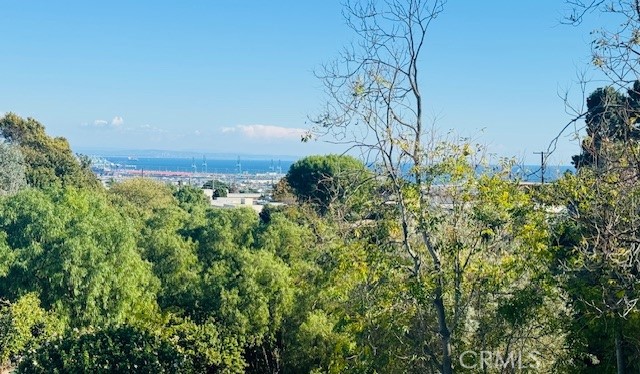 Detail Gallery Image 5 of 58 For 1701 W Santa Cruz St, San Pedro,  CA 90732 - 3 Beds | 2 Baths