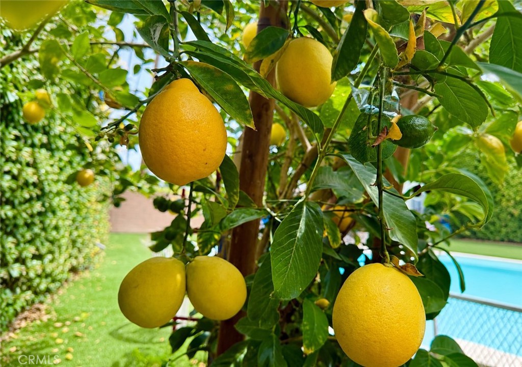 https://media.crmls.org/medias/407613bc-d92f-4867-ad59-d76017daa77e.jpg?preset=X-Large